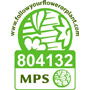 MSP