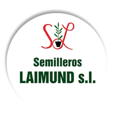 Semilleros Laimund S.L.